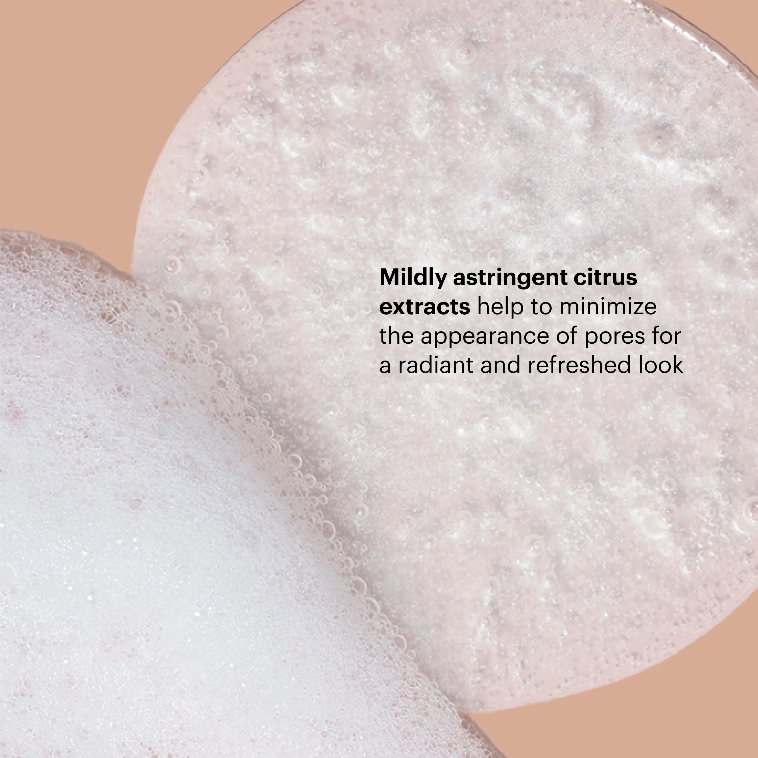 1333-aha-bha-exfoliating-cleanser-8.webp AHA/BHA Exfoliating Cleanser