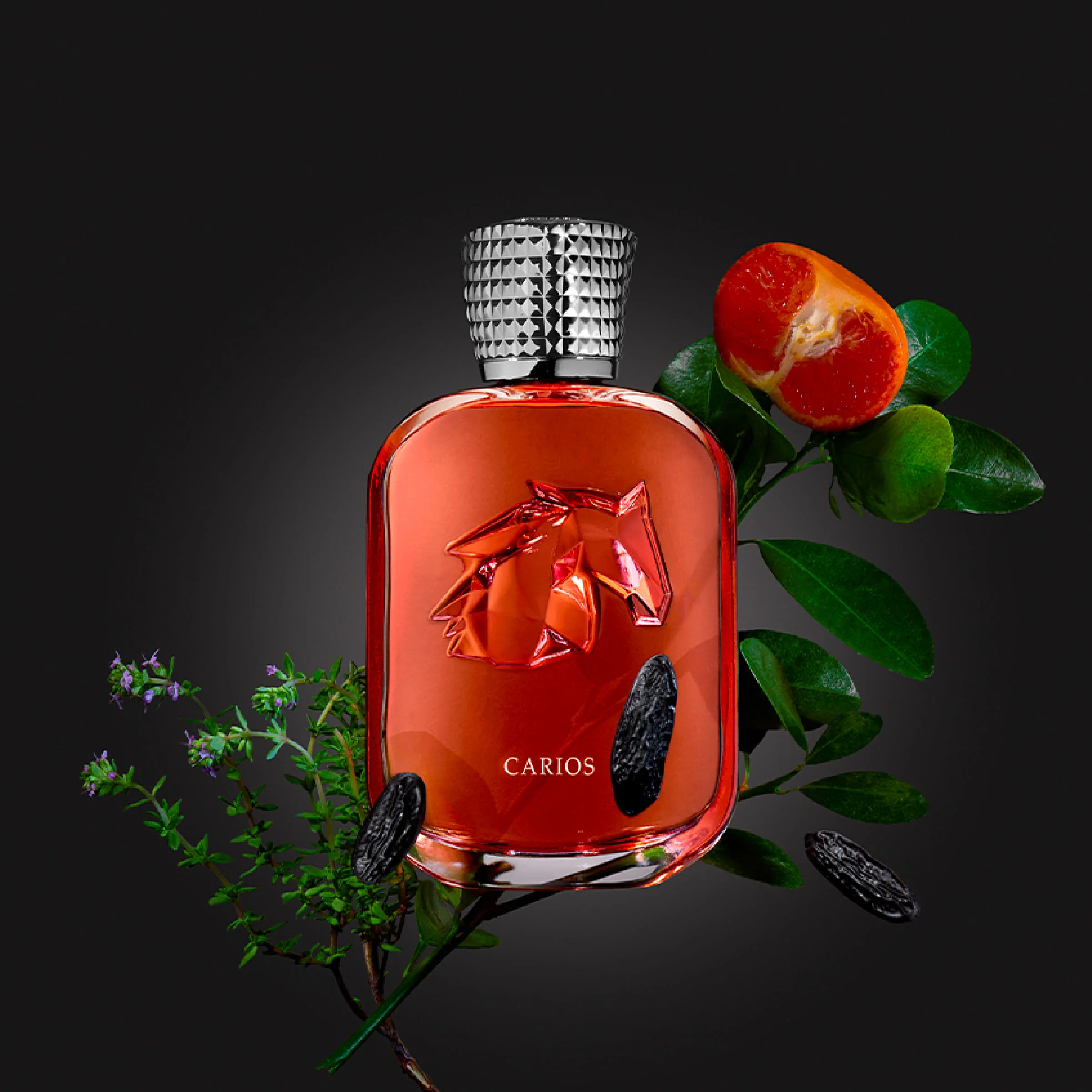 163-carios-extrait-de-parfum-4.webp Carios Extrait de Parfum