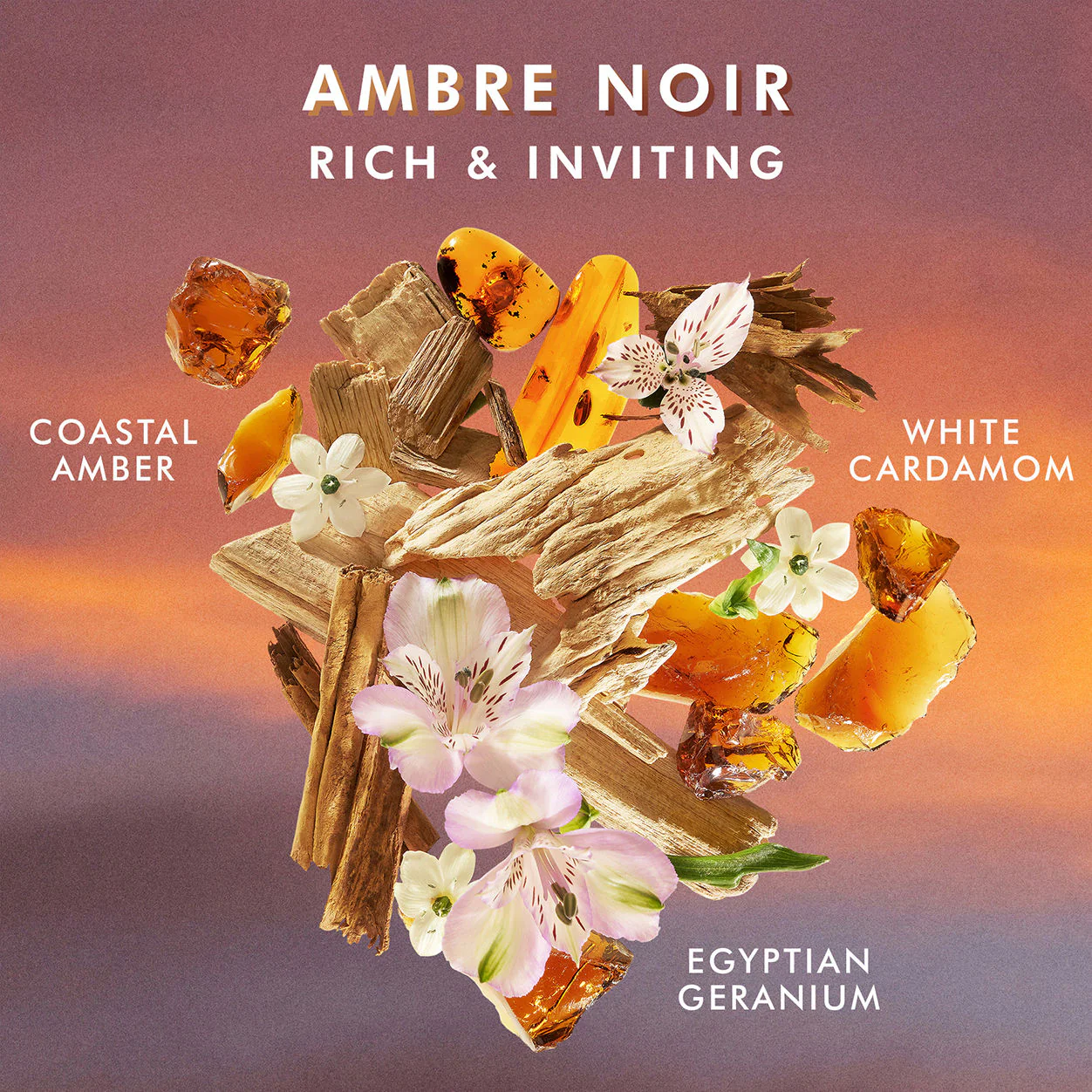 2381-body-lotion-ambre-noir-4.webp Body Lotion Ambre Noir