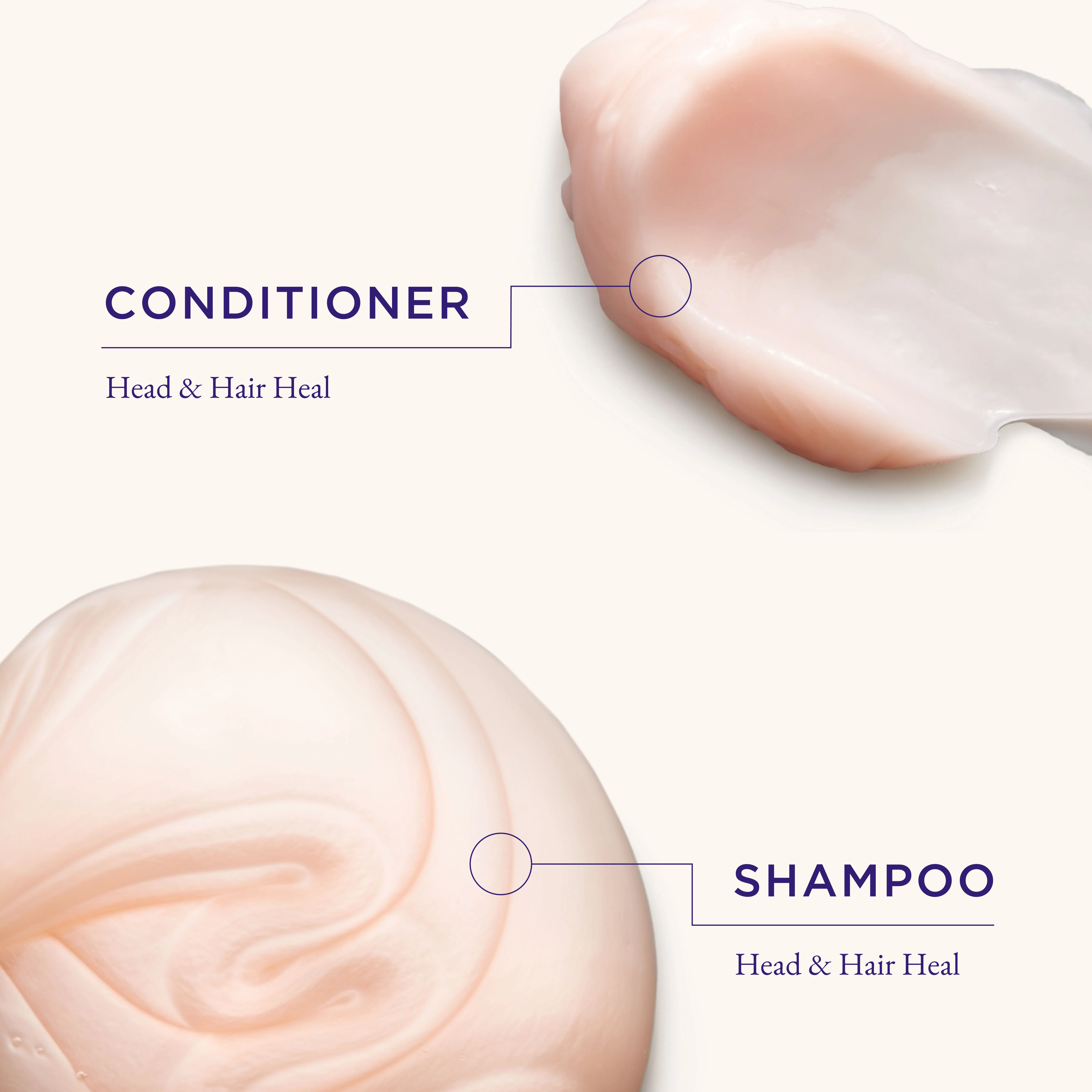 Head & Hair Heal Beauty Box (Limited Edition)