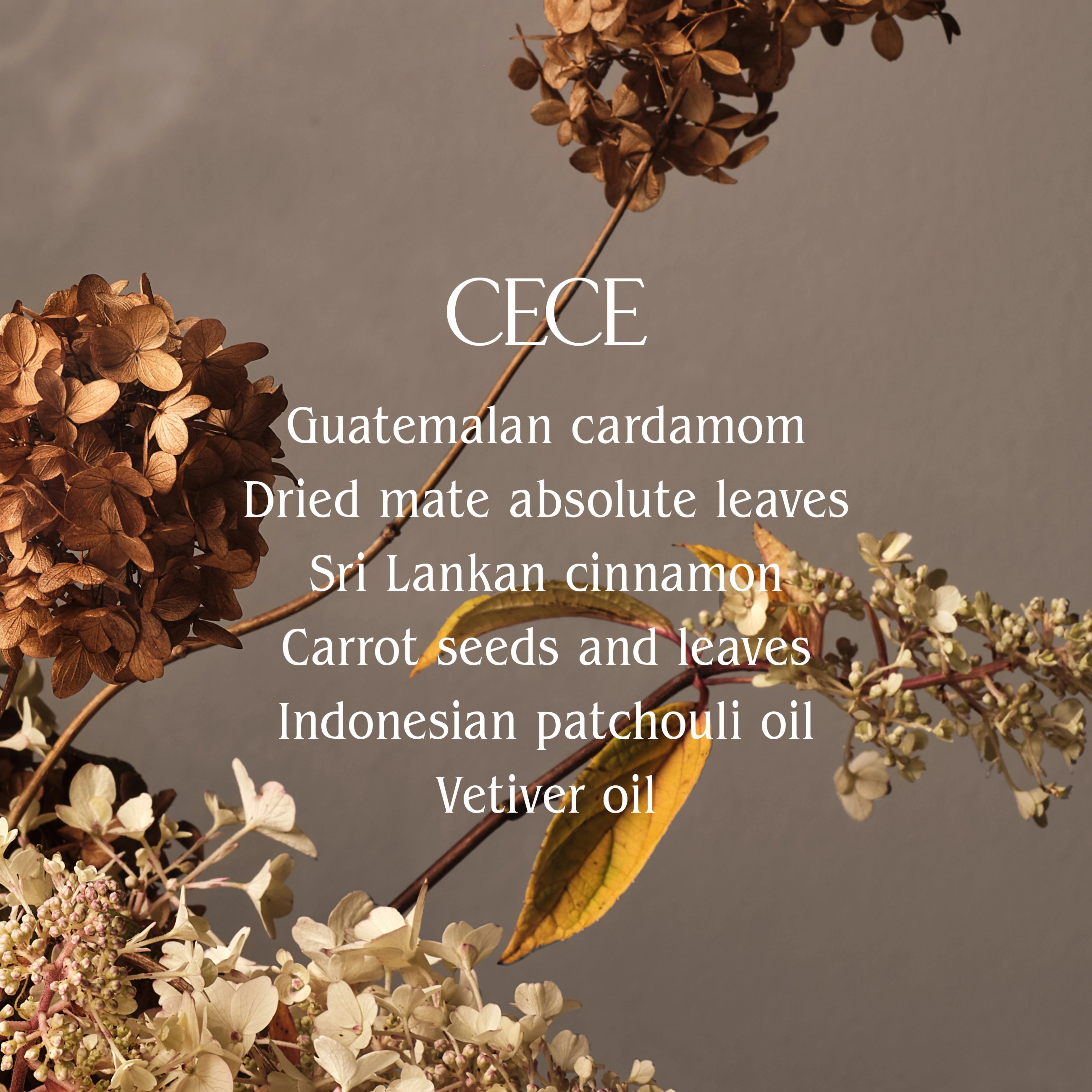 2783-cece-hand-cream-2.webp Cece Hand Cream