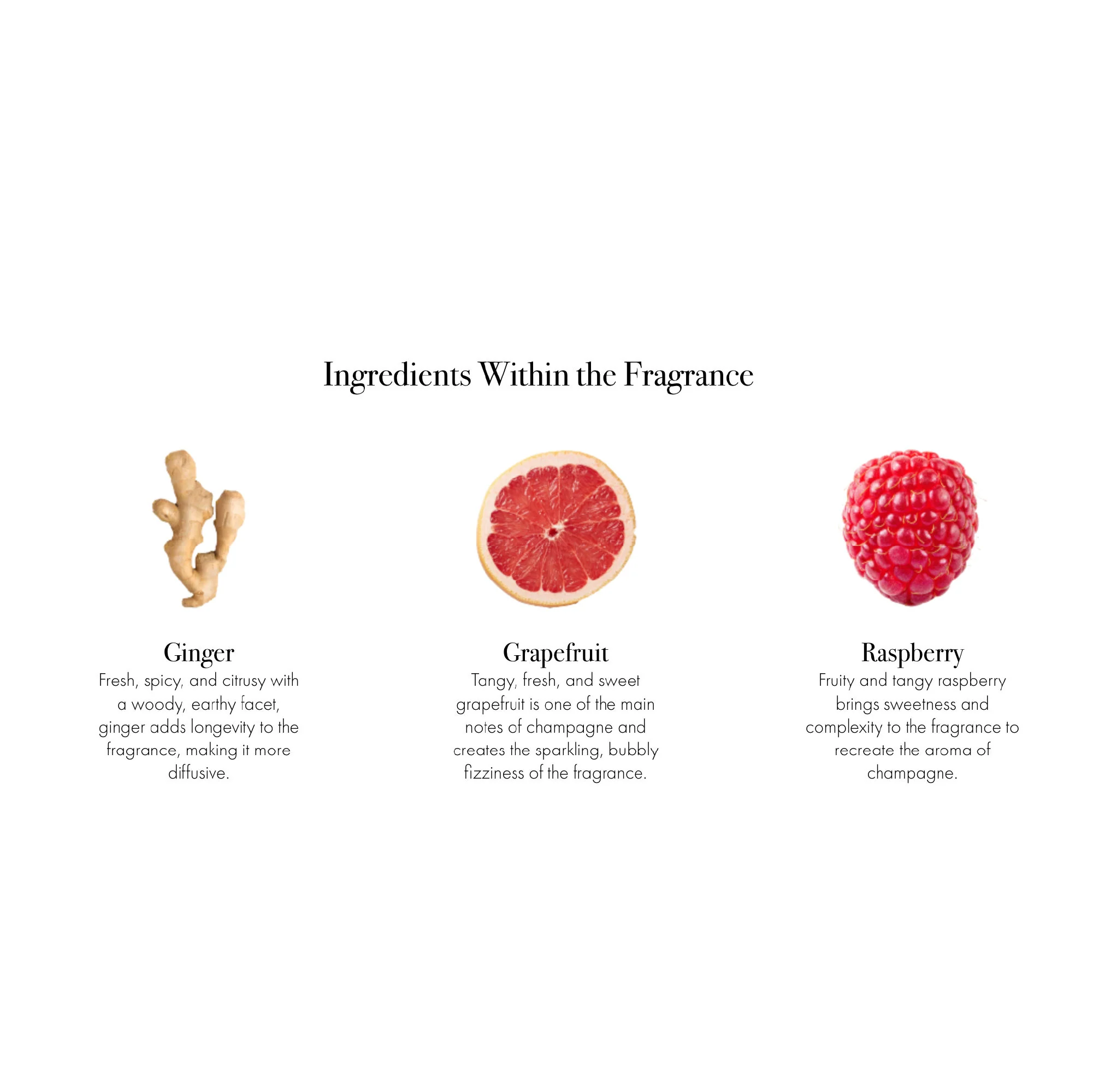 2839-champagne-hand-cream-10.webp Champagne Hand Cream