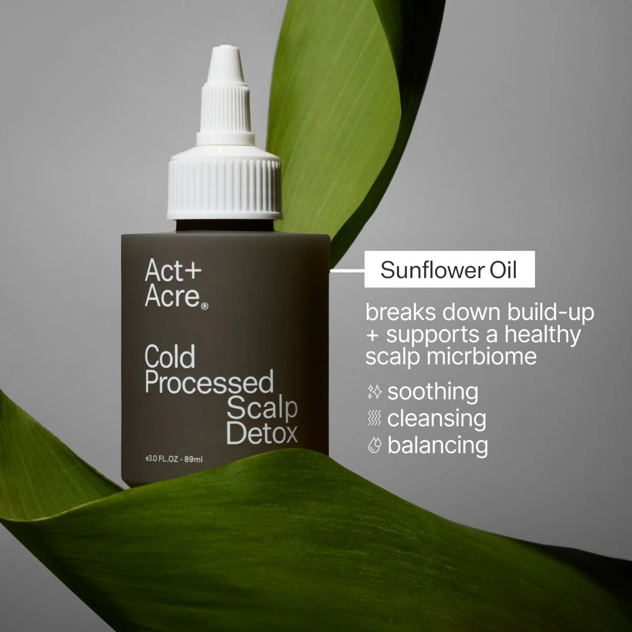 3135-cold-processed-scalp-detox-10.webp Cold Processed Scalp Detox