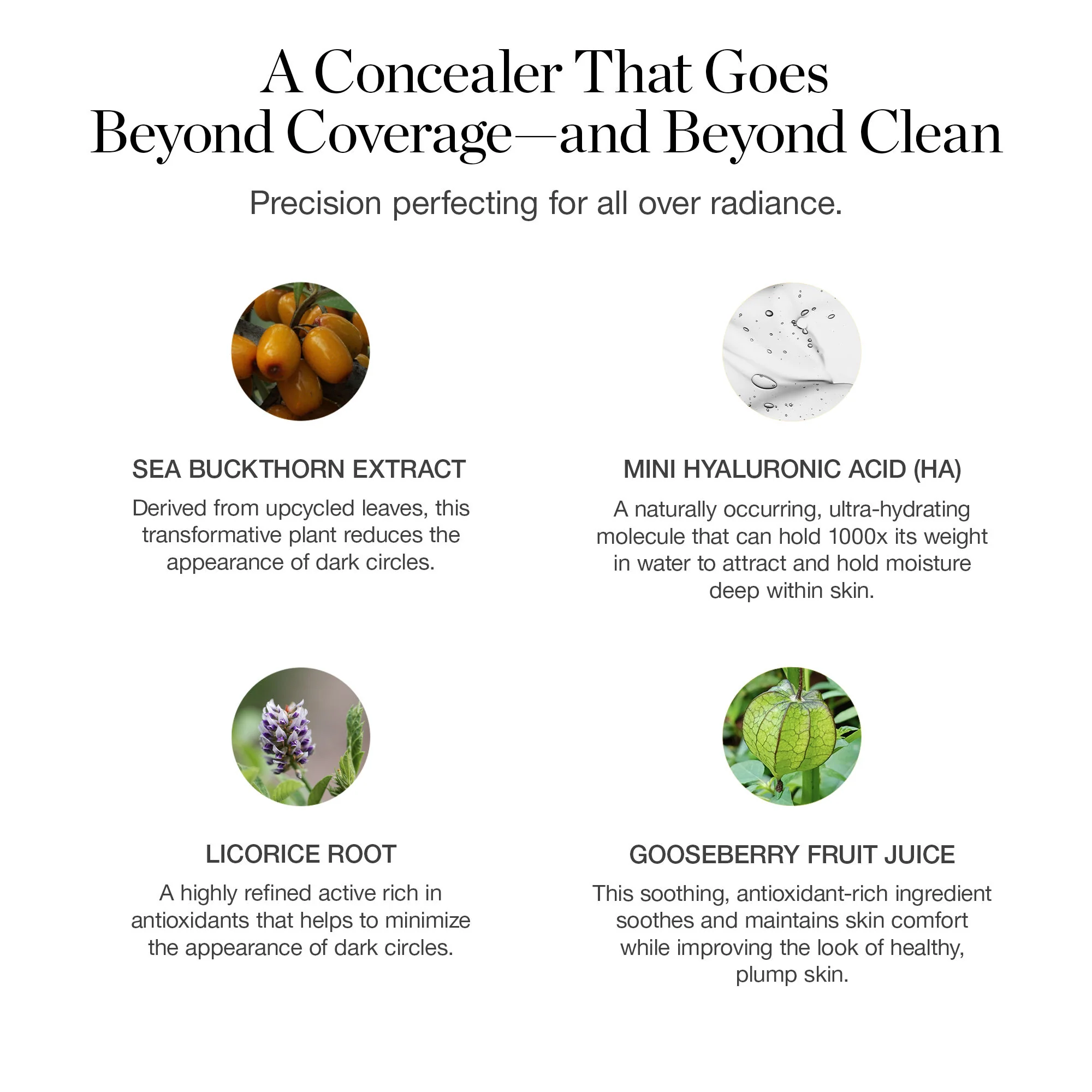 3219-complexion-perfecting-concealer-8.webp Complexion Perfecting Concealer