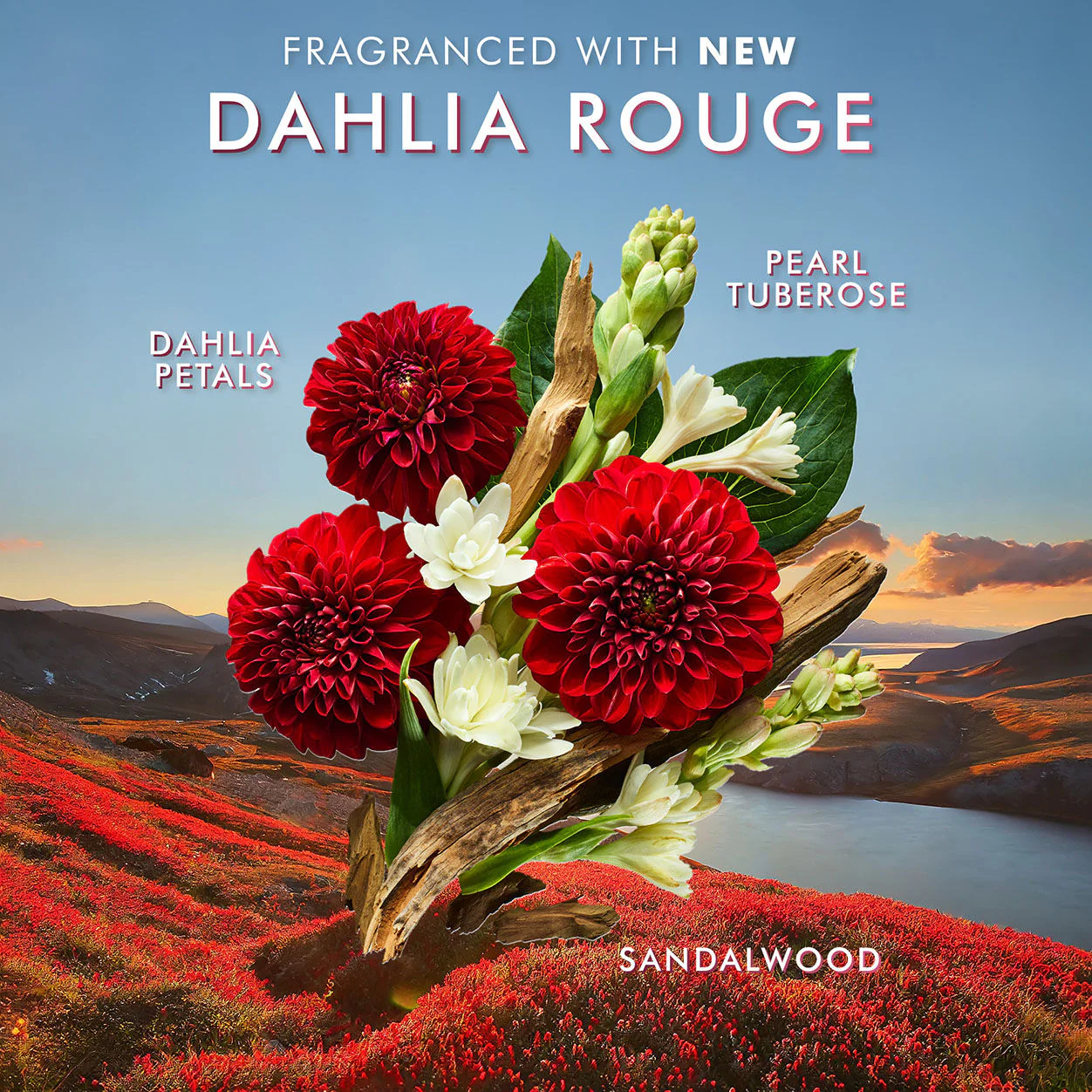 3624-dahlia-rouge-shower-gel-6.webp Dahlia Rouge Shower Gel