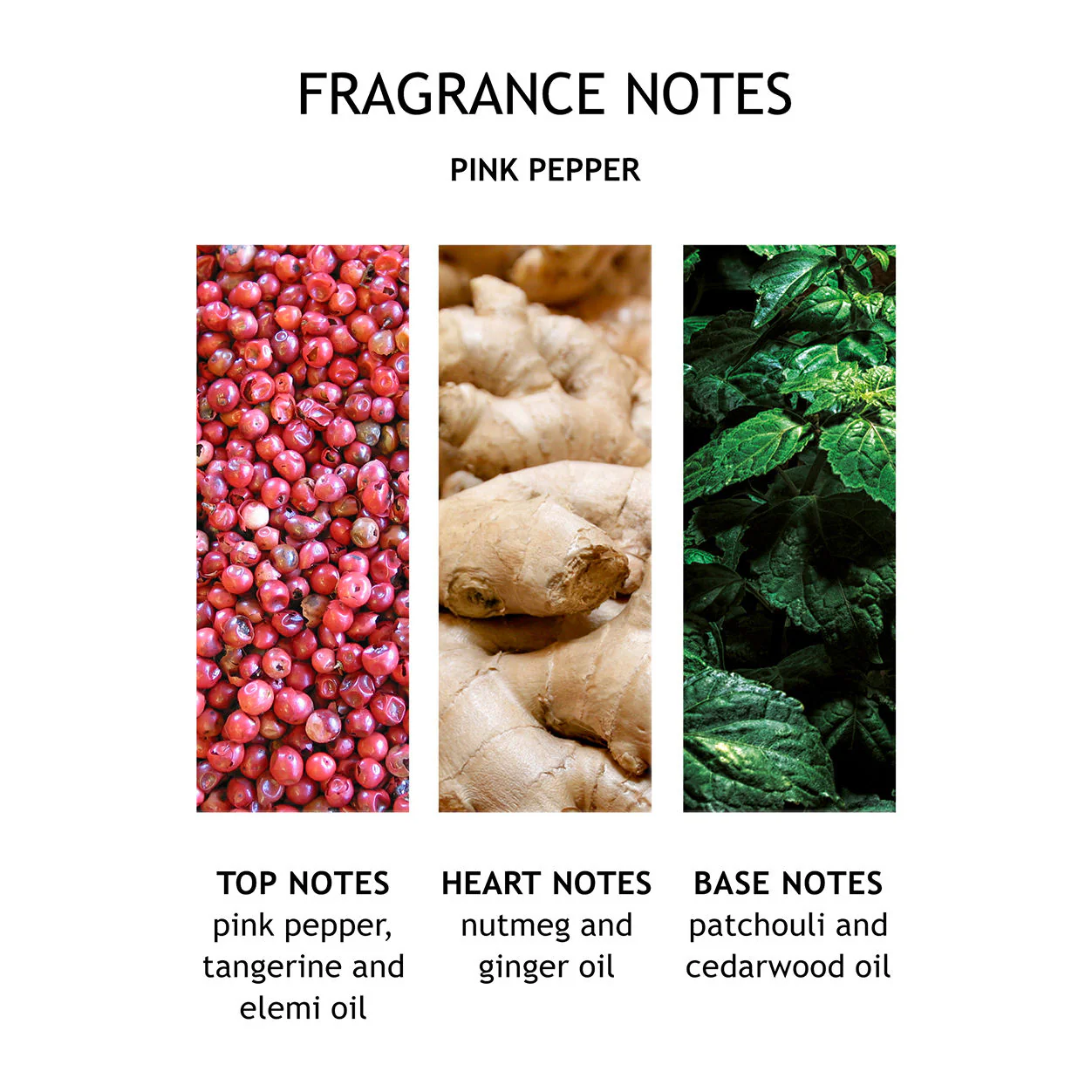4812-fiery-pink-pepper-fine-liquid-hand-wash-4.webp Fiery Pink Pepper Fine Liquid Hand Wash