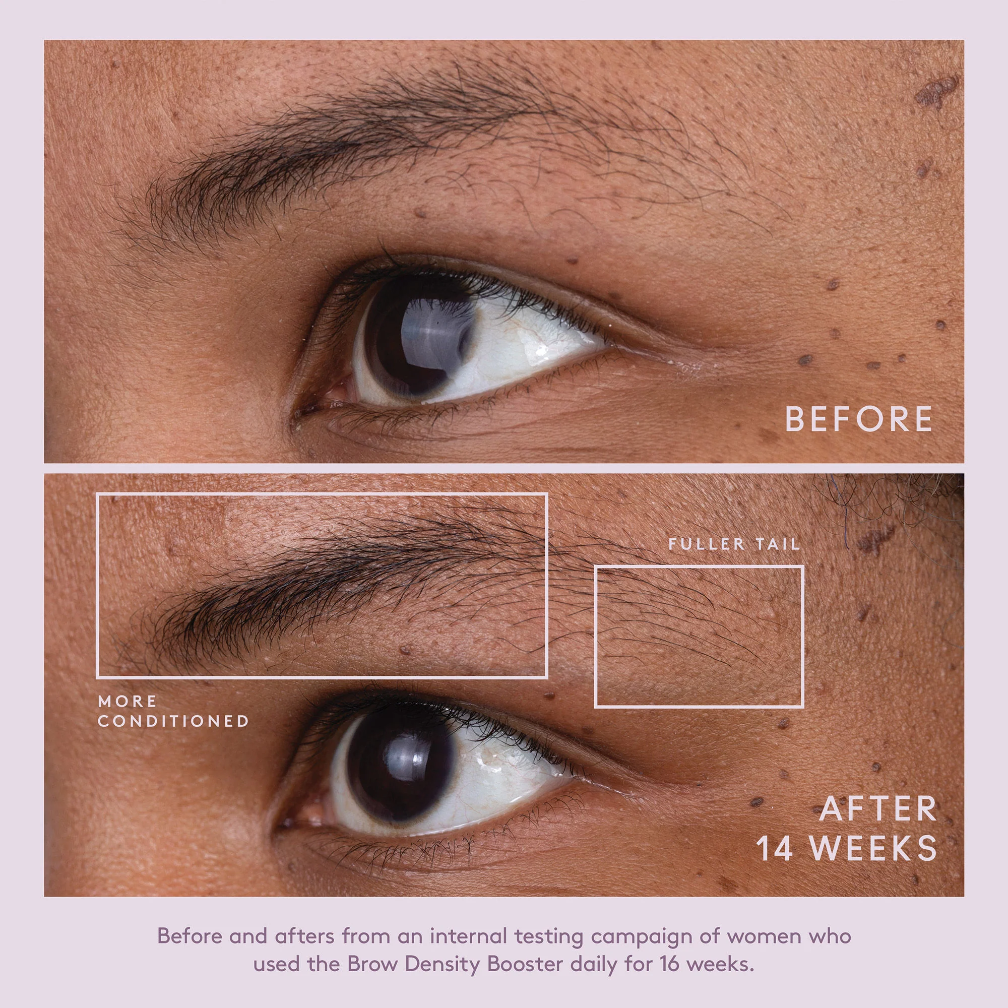 4944-flourish-brow-density-booster-5.webp Flourish Brow Density Booster