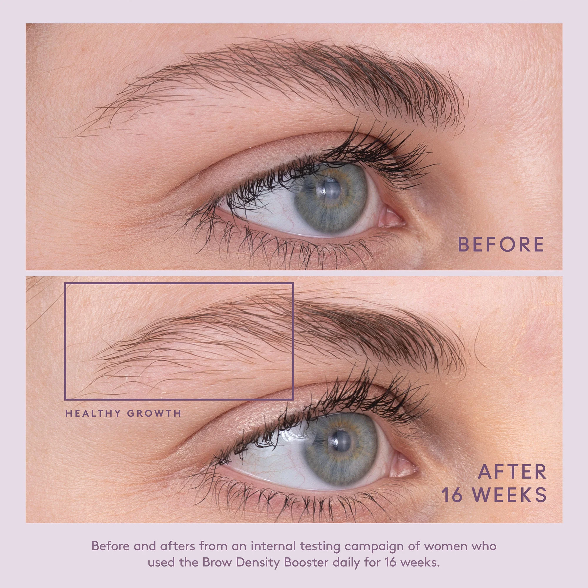 4944-flourish-brow-density-booster-6.webp Flourish Brow Density Booster