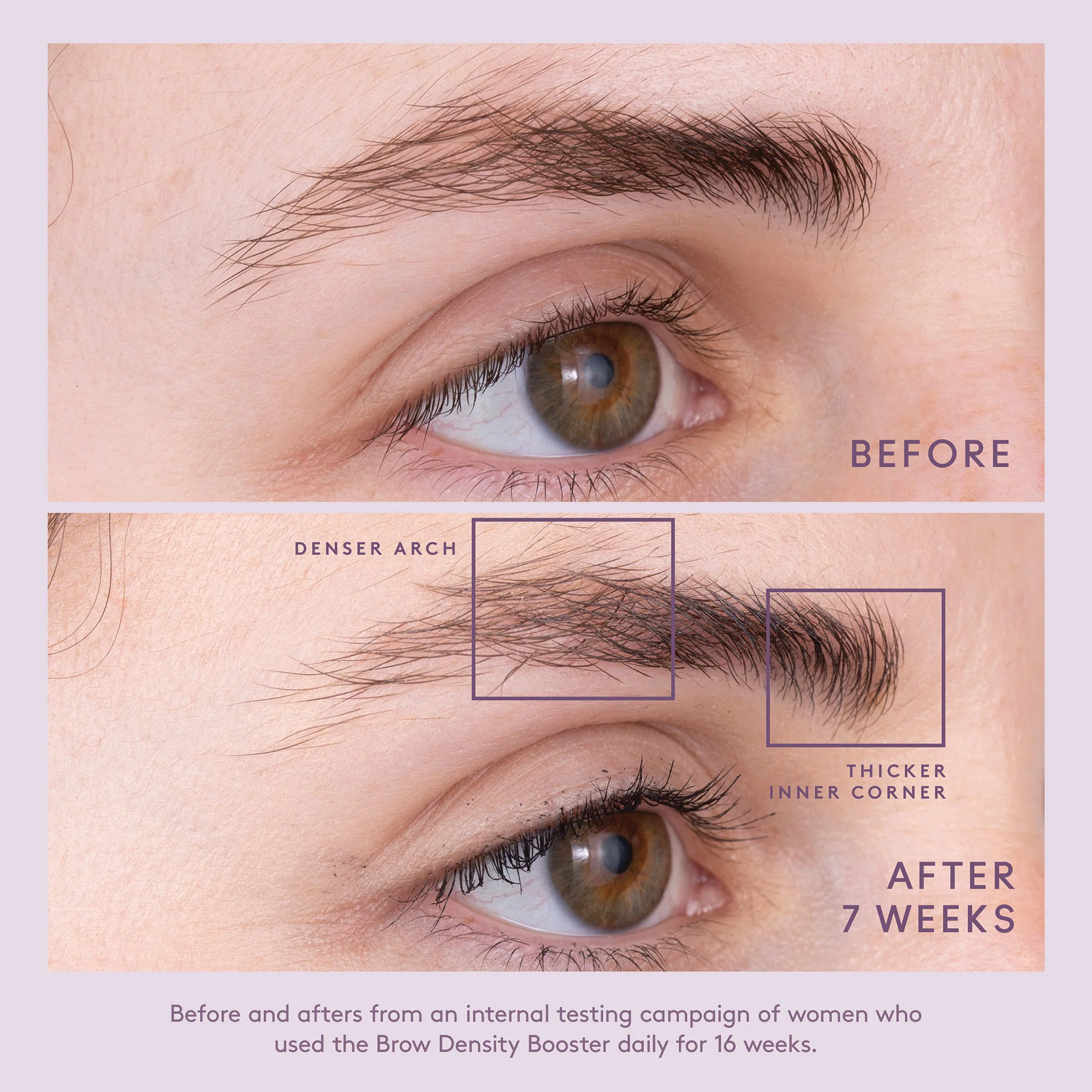 4944-flourish-brow-density-booster-7.webp Flourish Brow Density Booster