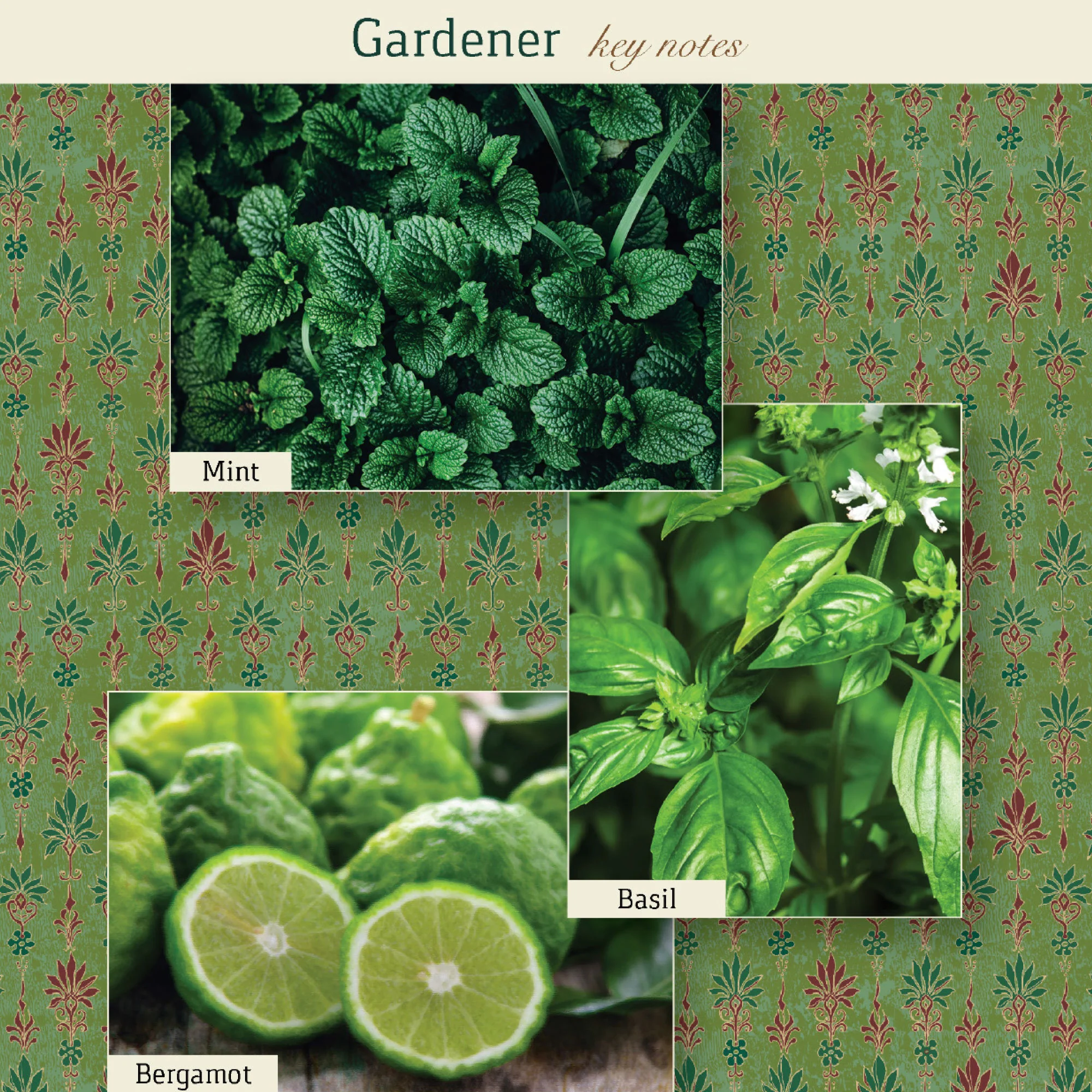 5144-gardener-candle-6.webp Gardener Candle