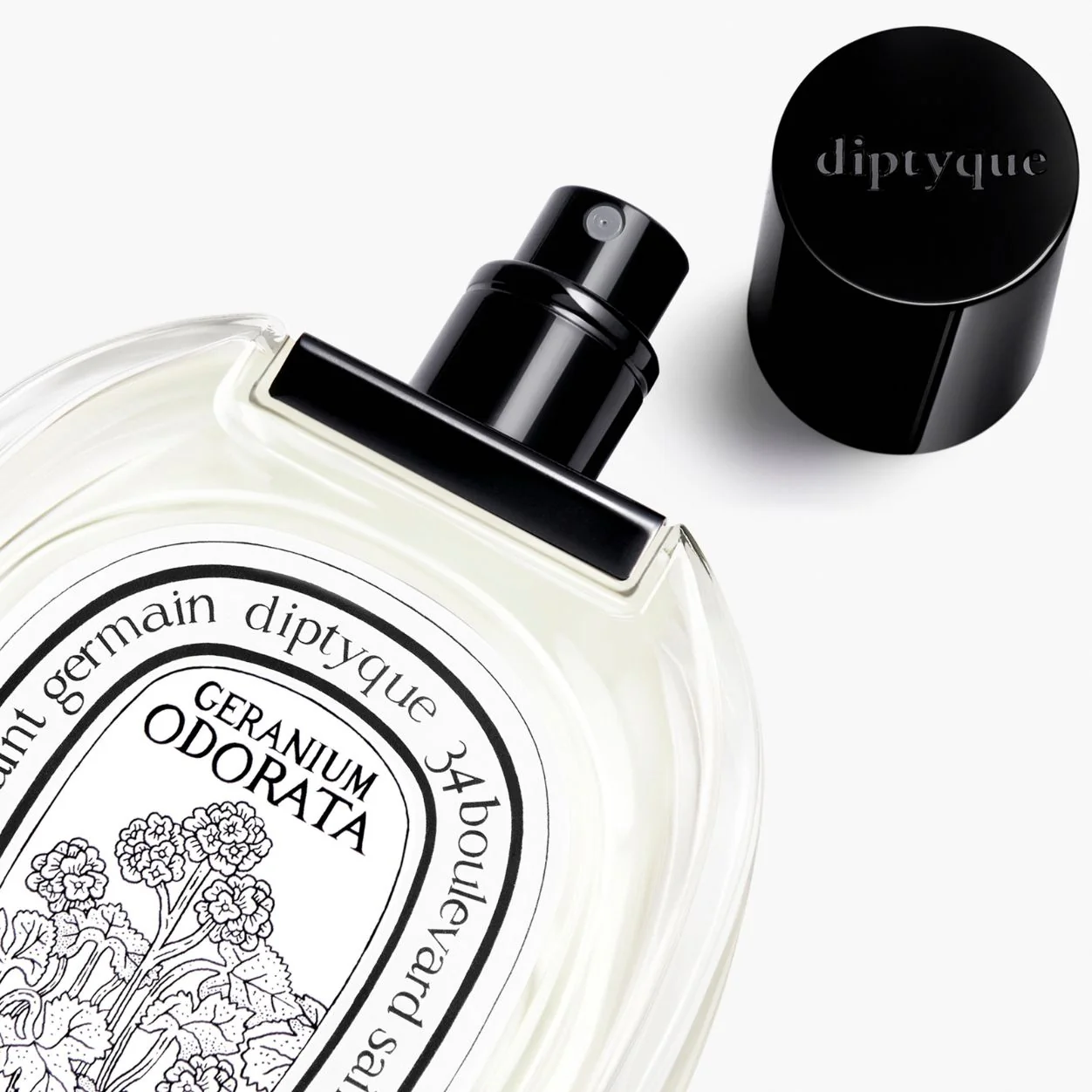 Geranium Odorata Eau De Toilette