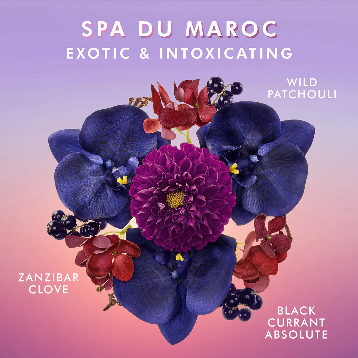Hand Wash Spa du Maroc