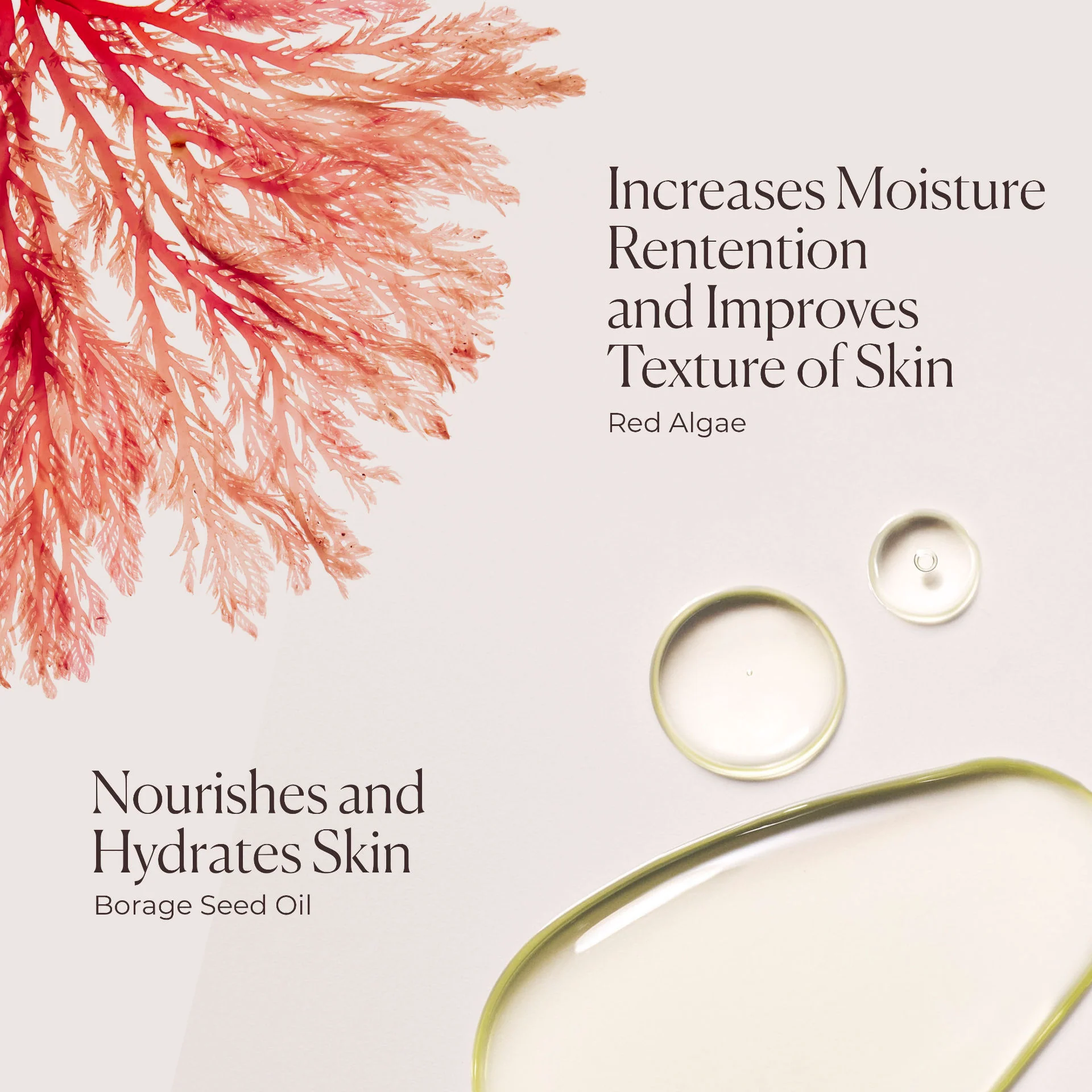 5799-honey-bath-6.webp Honey Bath
