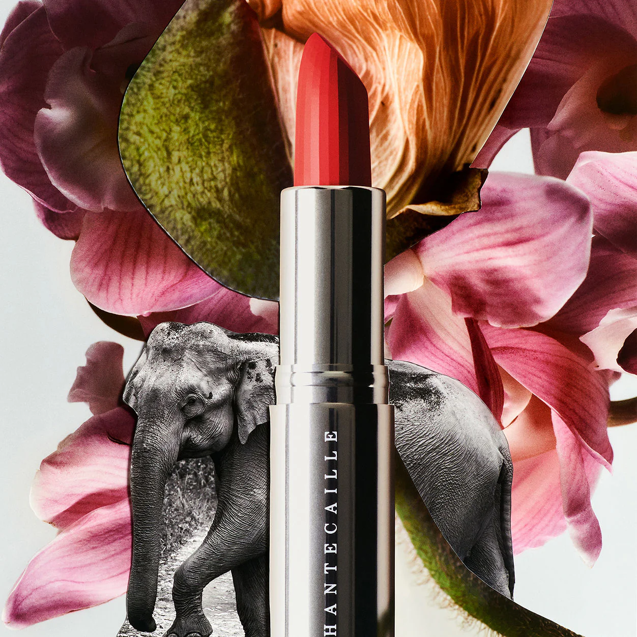 6777-lip-cr-me-5.webp Lip Crème