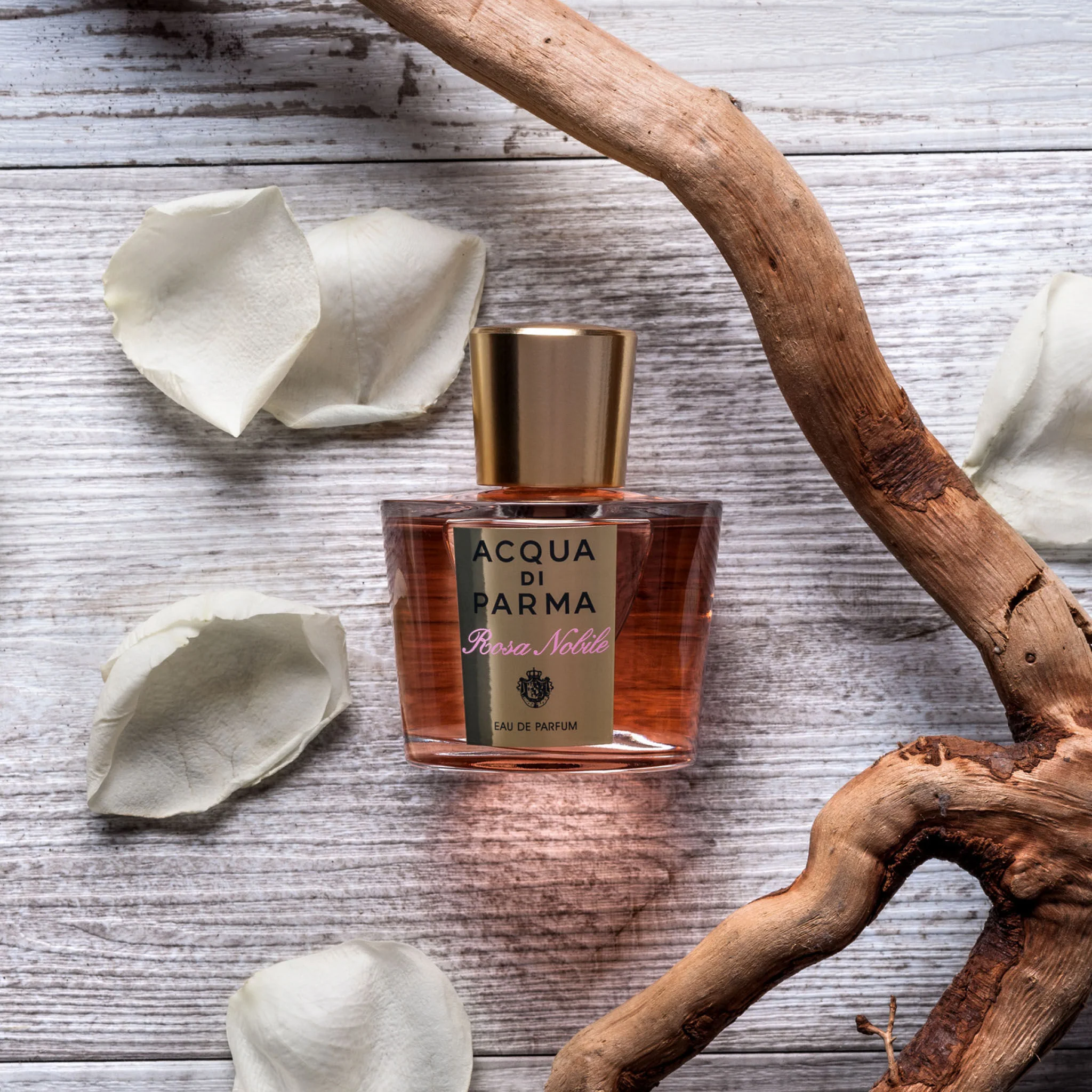 695-rosa-nobile-eau-de-parfum-2.webp Rosa Nobile Eau de Parfum