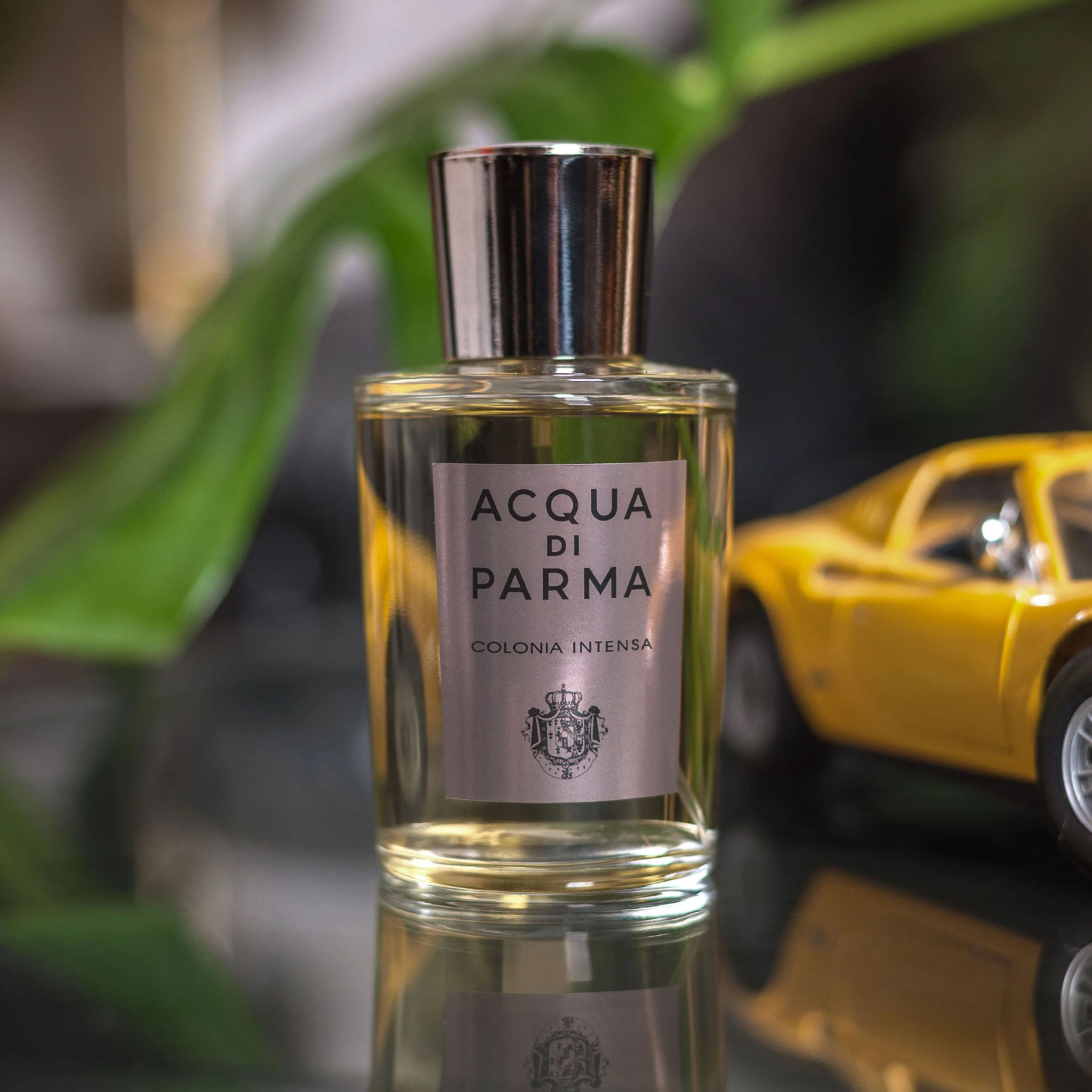 704-colonia-intensa-eau-de-cologne-spray-3.webp Colonia Intensa Eau de Cologne Spray