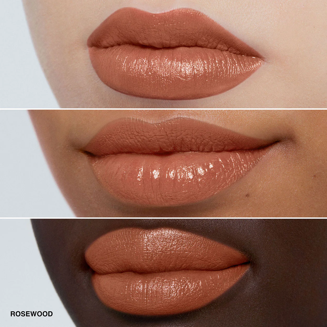 7178-luxe-lipstick-26.webp Luxe Lipstick