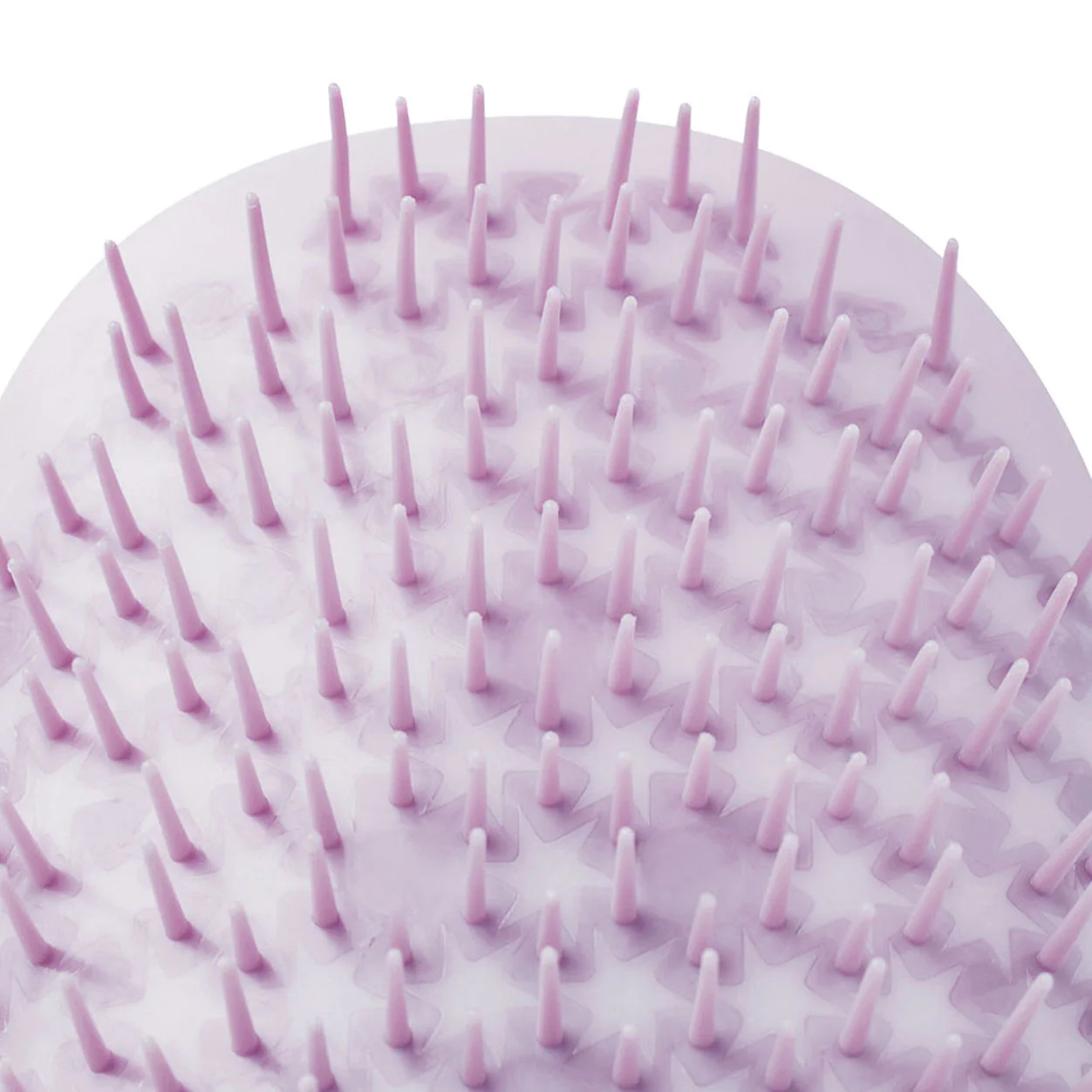 7284-manta-brush-3.webp MANTA Brush