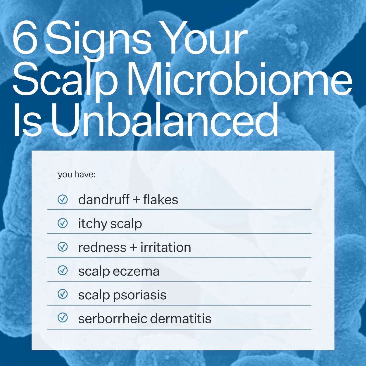 7445-microbiome-cooling-scalp-serum-9.webp Microbiome Cooling Scalp Serum